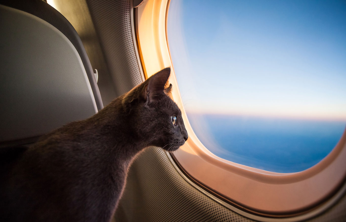 Travel Travel
